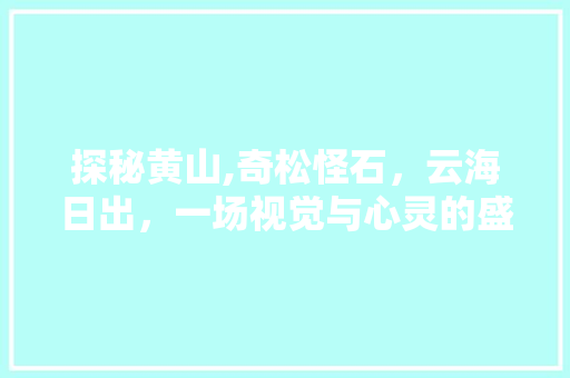 探秘黄山,奇松怪石，云海日出，一场视觉与心灵的盛宴