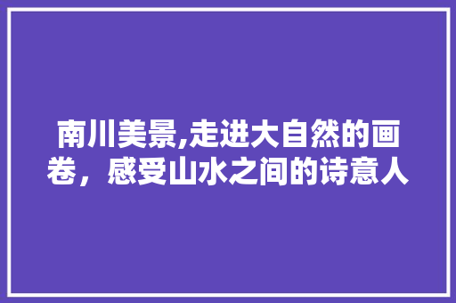 南川美景,走进大自然的画卷，感受山水之间的诗意人生