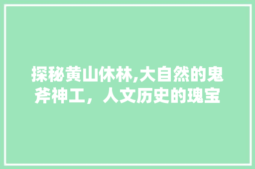 探秘黄山休林,大自然的鬼斧神工，人文历史的瑰宝