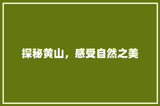 探秘黄山，感受自然之美  第1张