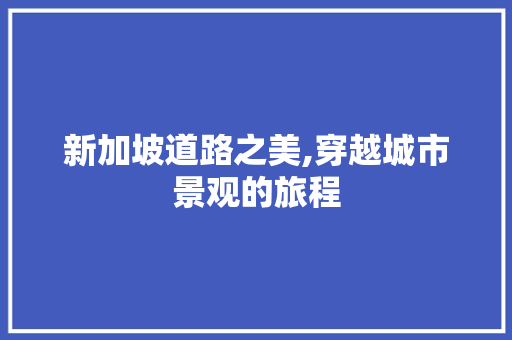 新加坡道路之美,穿越城市景观的旅程