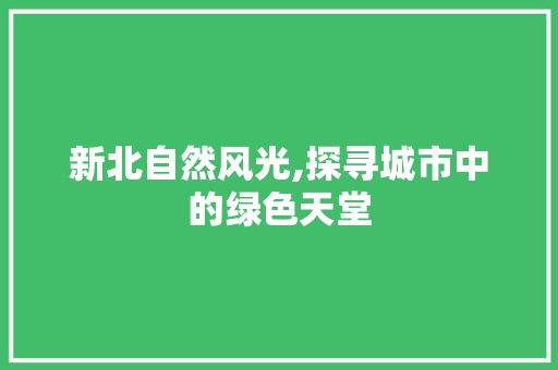 新北自然风光,探寻城市中的绿色天堂