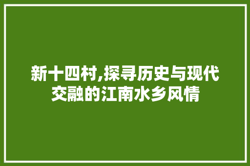 新十四村,探寻历史与现代交融的江南水乡风情