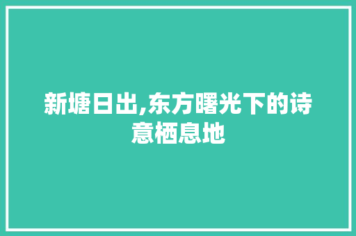 新塘日出,东方曙光下的诗意栖息地  第1张