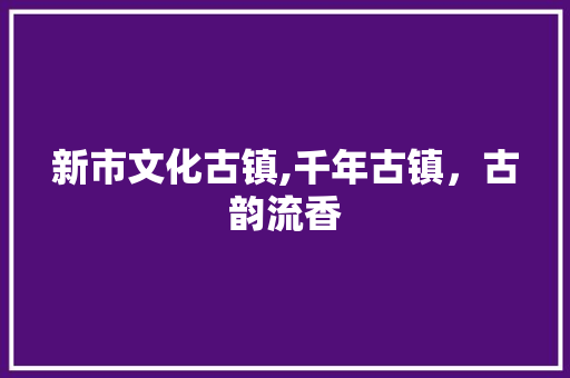 新市文化古镇,千年古镇，古韵流香