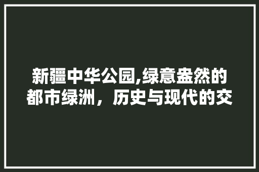 新疆中华公园,绿意盎然的都市绿洲，历史与现代的交融之地