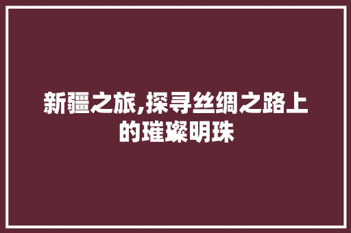 新疆之旅,探寻丝绸之路上的璀璨明珠