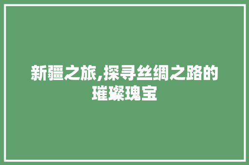 新疆之旅,探寻丝绸之路的璀璨瑰宝  第1张