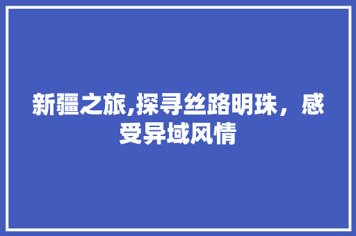 新疆之旅,探寻丝路明珠，感受异域风情