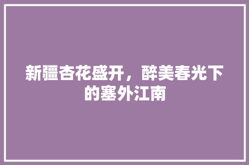 新疆杏花盛开，醉美春光下的塞外江南