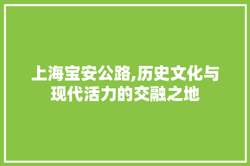 上海宝安公路,历史文化与现代活力的交融之地