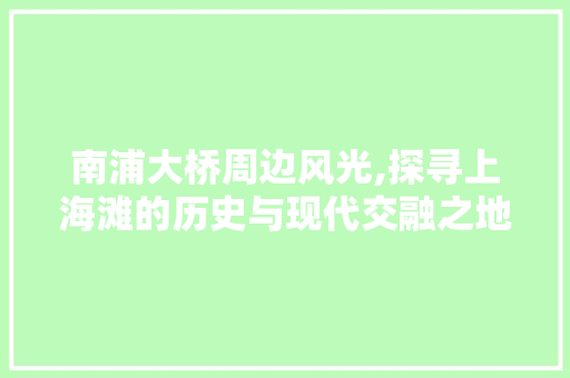 南浦大桥周边风光,探寻上海滩的历史与现代交融之地