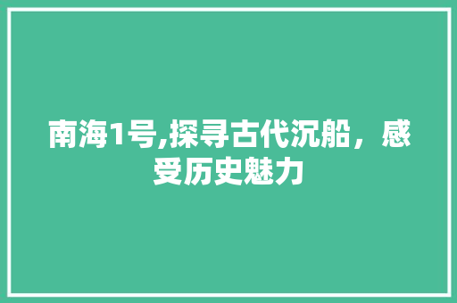 南海1号,探寻古代沉船，感受历史魅力