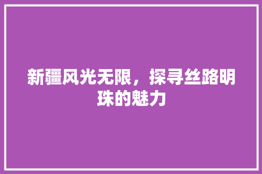 新疆风光无限，探寻丝路明珠的魅力