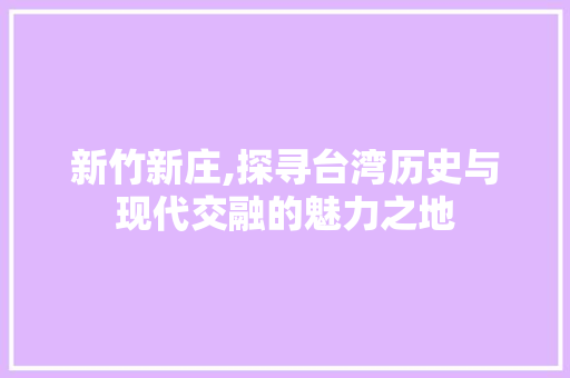 新竹新庄,探寻台湾历史与现代交融的魅力之地