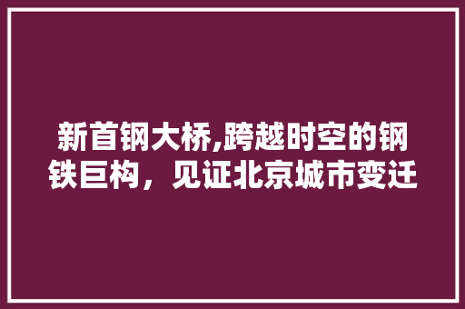 新首钢大桥,跨越时空的钢铁巨构，见证北京城市变迁