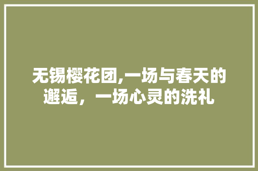 无锡樱花团,一场与春天的邂逅，一场心灵的洗礼