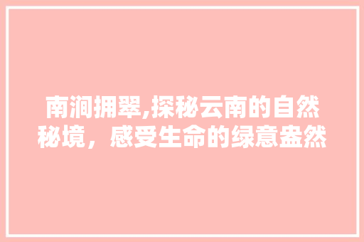 南涧拥翠,探秘云南的自然秘境，感受生命的绿意盎然