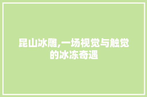 昆山冰雕,一场视觉与触觉的冰冻奇遇