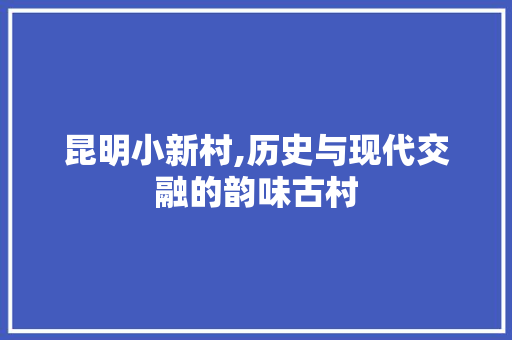 昆明小新村,历史与现代交融的韵味古村