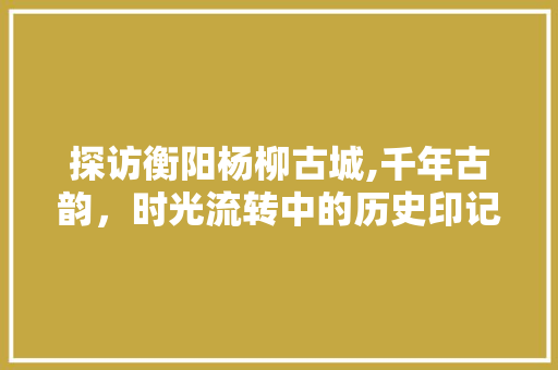 探访衡阳杨柳古城,千年古韵，时光流转中的历史印记  第1张