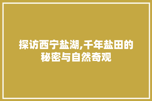 探访西宁盐湖,千年盐田的秘密与自然奇观  第1张