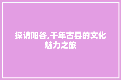 探访阳谷,千年古县的文化魅力之旅