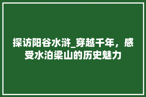 探访阳谷水浒_穿越千年，感受水泊梁山的历史魅力