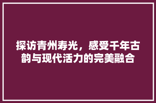 探访青州寿光，感受千年古韵与现代活力的完美融合  第1张