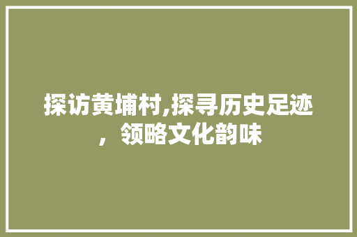 探访黄埔村,探寻历史足迹，领略文化韵味