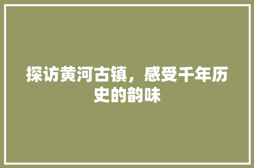 探访黄河古镇，感受千年历史的韵味