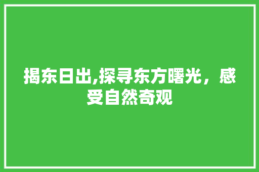 揭东日出,探寻东方曙光，感受自然奇观