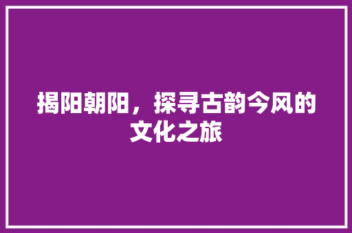 揭阳朝阳，探寻古韵今风的文化之旅