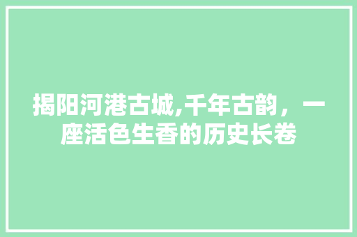 揭阳河港古城,千年古韵，一座活色生香的历史长卷  第1张