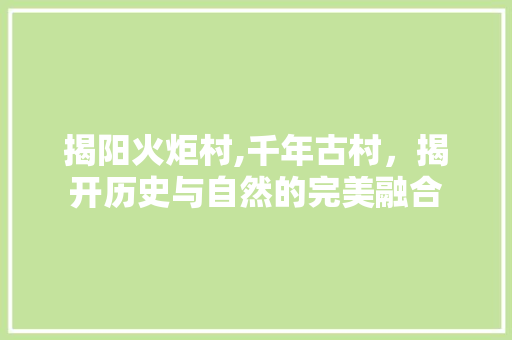 揭阳火炬村,千年古村，揭开历史与自然的完美融合  第1张