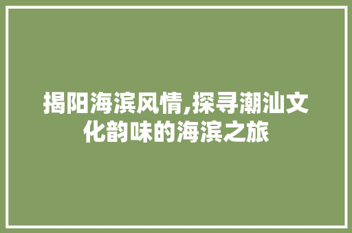 揭阳海滨风情,探寻潮汕文化韵味的海滨之旅  第1张