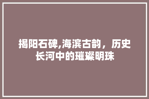 揭阳石碑,海滨古韵，历史长河中的璀璨明珠