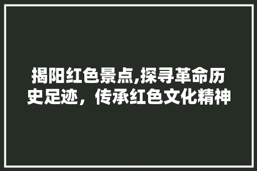 揭阳红色景点,探寻革命历史足迹，传承红色文化精神