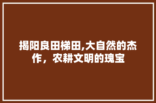 揭阳良田梯田,大自然的杰作，农耕文明的瑰宝  第1张