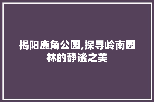 揭阳鹿角公园,探寻岭南园林的静谧之美  第1张