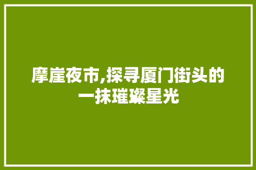 摩崖夜市,探寻厦门街头的一抹璀璨星光  第1张