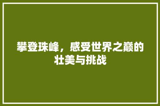 攀登珠峰，感受世界之巅的壮美与挑战  第1张