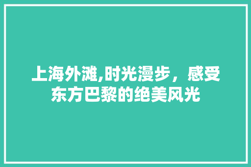 上海外滩,时光漫步，感受东方巴黎的绝美风光  第1张