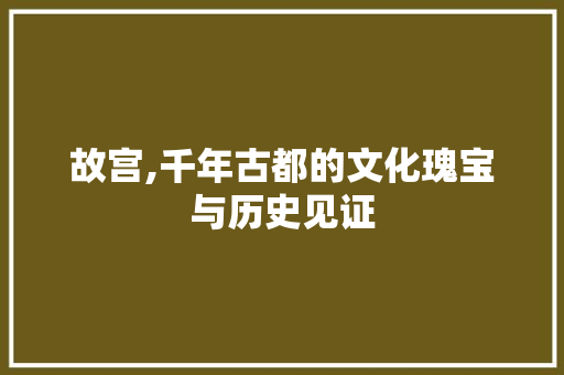 故宫,千年古都的文化瑰宝与历史见证  第1张