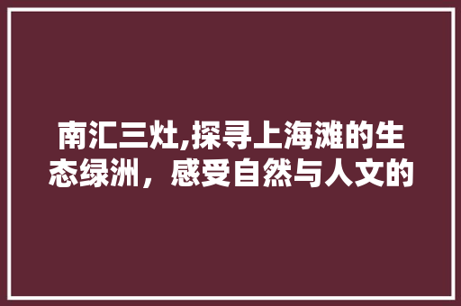 南汇三灶,探寻上海滩的生态绿洲，感受自然与人文的和谐共生