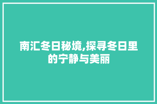 南汇冬日秘境,探寻冬日里的宁静与美丽