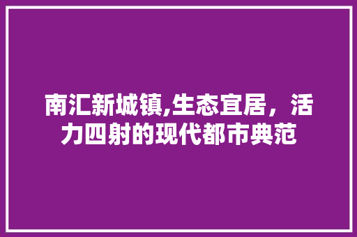 南汇新城镇,生态宜居，活力四射的现代都市典范