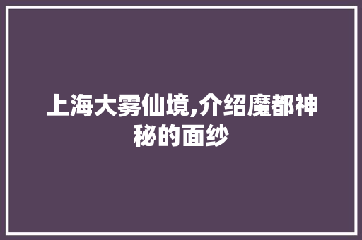 上海大雾仙境,介绍魔都神秘的面纱