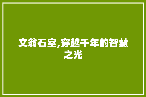 文翁石室,穿越千年的智慧之光  第1张