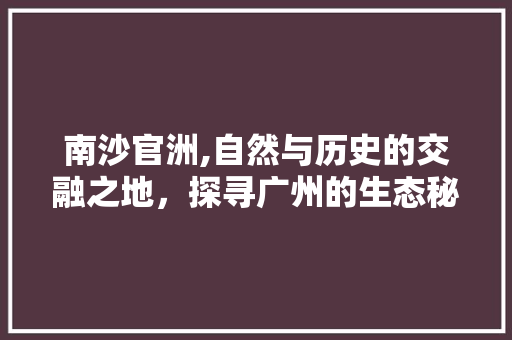 南沙官洲,自然与历史的交融之地，探寻广州的生态秘境